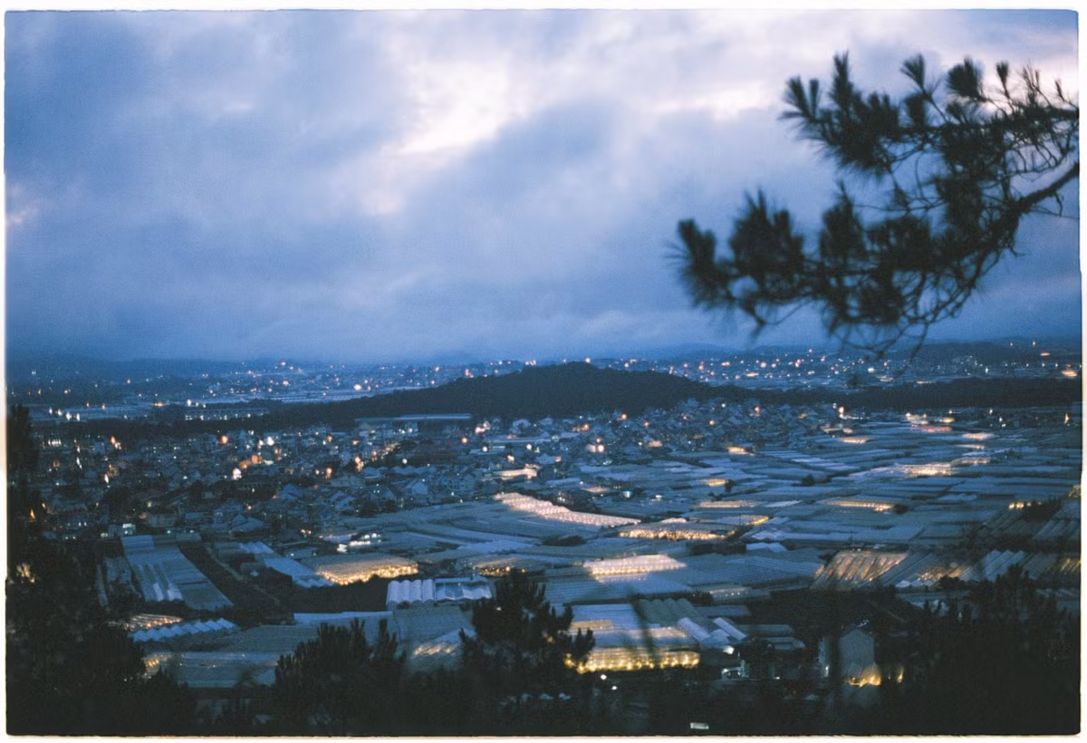 5 dia diem cam trai san may tai Da Lat-Hinh-11