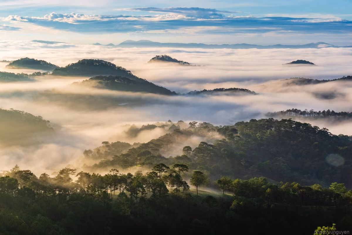 5 dia diem cam trai san may tai Da Lat-Hinh-10