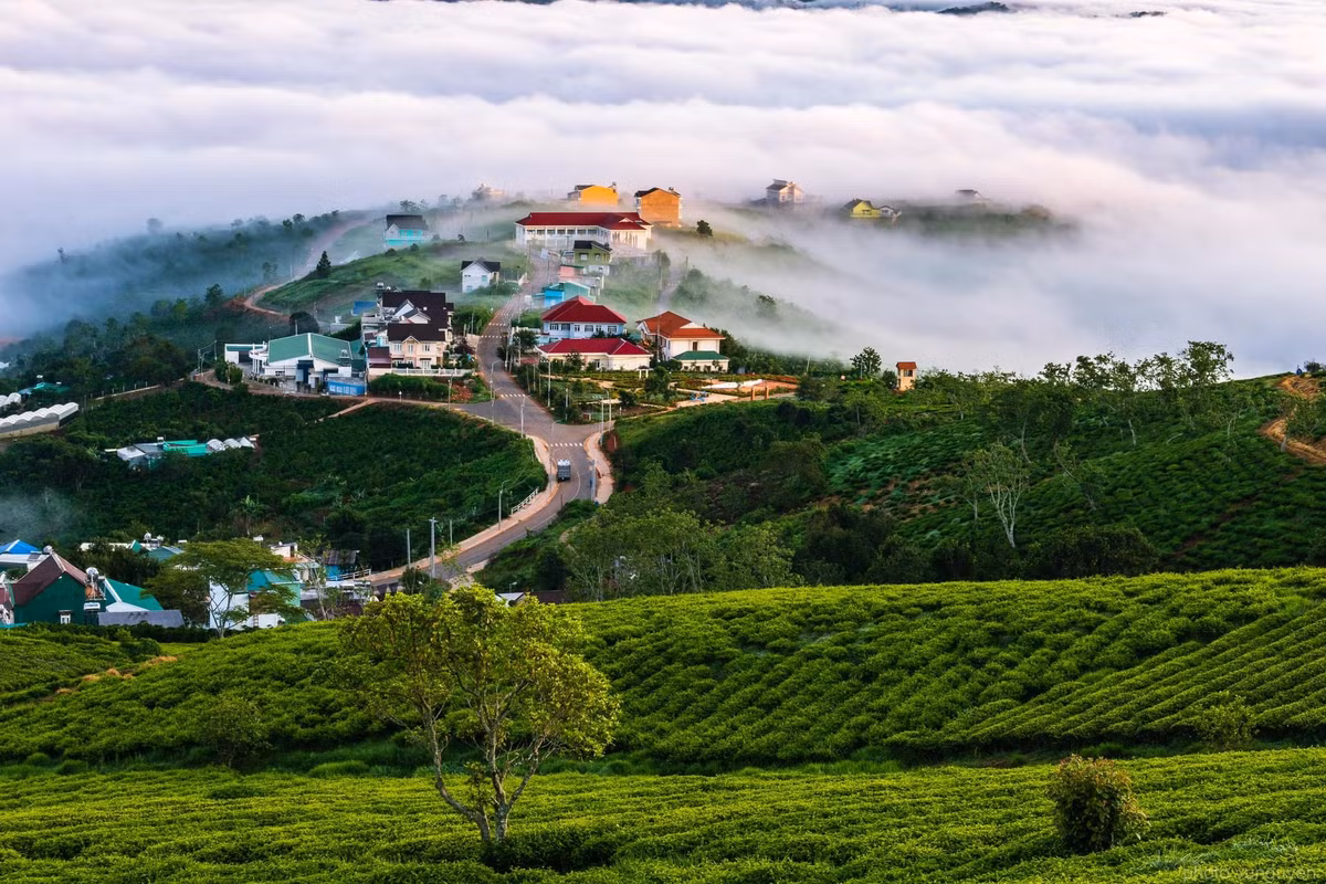 5 dia diem cam trai san may tai Da Lat-Hinh-6