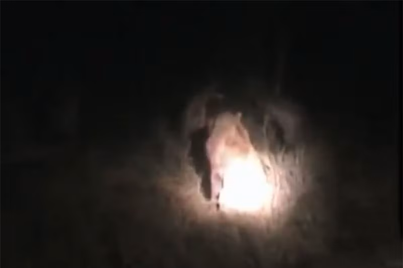 Video: Su tu “ta toi” vi bi linh cau “danh hoi dong”