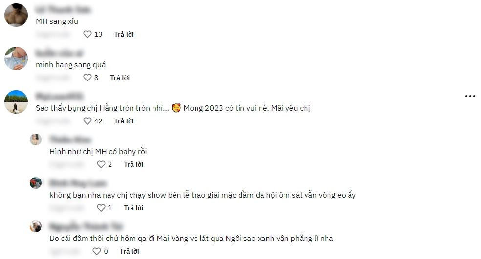 ên dưới phần bình luận, khá nhiều người gửi lời chúc mừng "tin vui" của Minh Hằng.