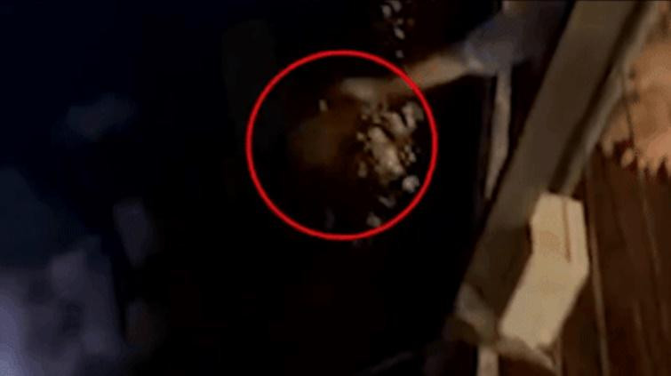 Du khach goi tom hum gia hon 5 trieu roi tha xuong bien-Hinh-2