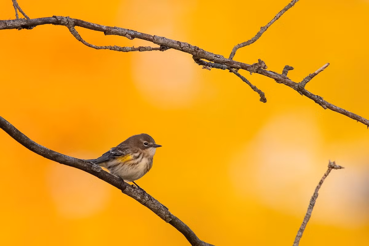 Nguoi sinh ngay Am lich nay am hieu kiem tien, trung nien giau co-Hinh-2