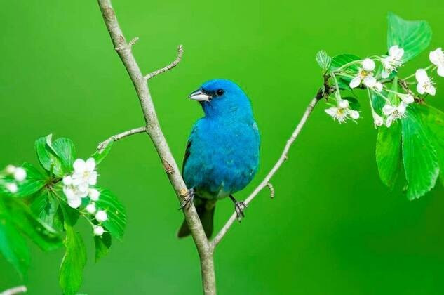 Người sinh ngày Âm lịch này am hiểu kiếm tiền, trung niên giàu có - Hình 3 Nguoi sinh ngay Am lich nay am hieu kiem tien, trung nien giau co-Hinh-3