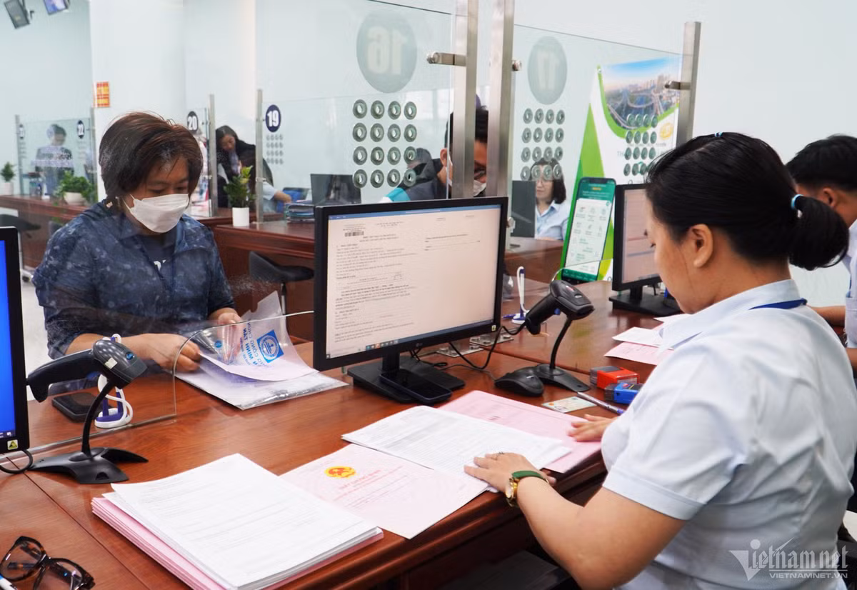 Thanh tra ho so nha dat TP.HCM: Co noi 100% tre han