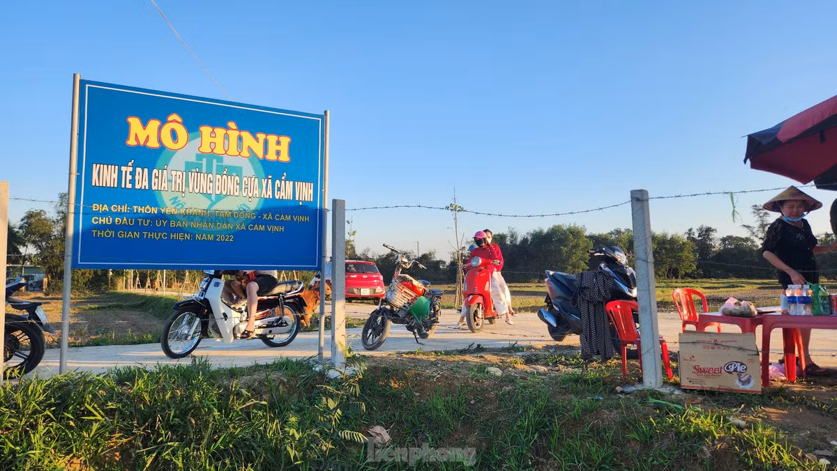 Điều đặc biệt, du khách đến tham quan không bị thu phí mà đóng góp tuỳ tâm để địa phương duy trì việc chăm sóc và mua thêm giống hoa để trồng.