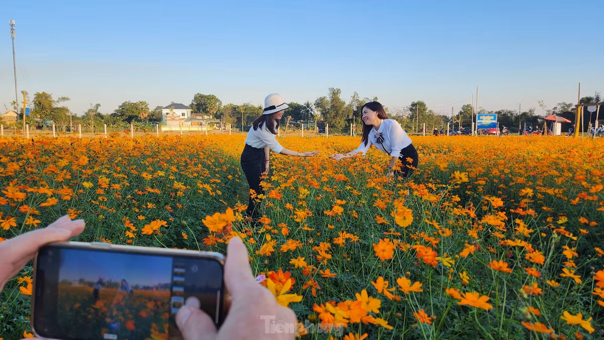 Sau khi hoa sao nhái bắt đầu nở rộ, có rất đông bạn trẻ kéo nhau về đây check in chụp ảnh.