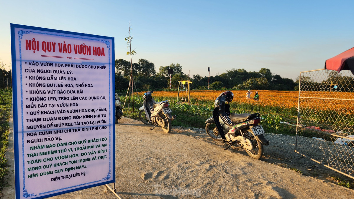 Me man canh dong hoa sao nhai thu hut ban tre den chup hinh-Hinh-2