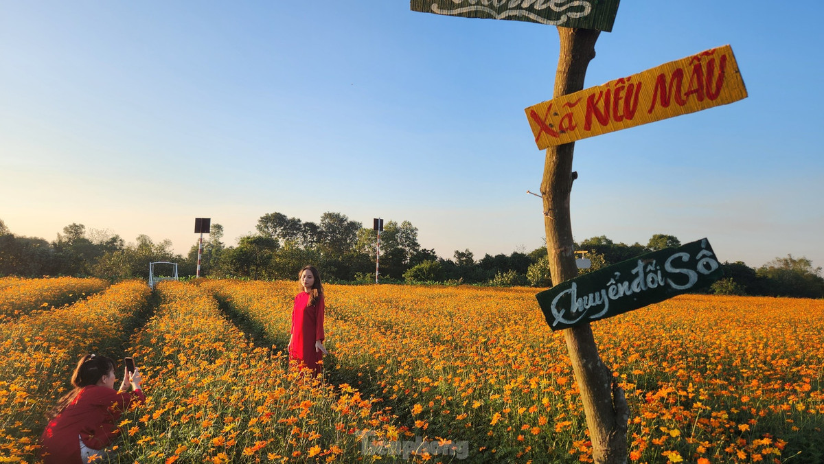 Người dân được miễn phí vào tham quan, chụp ảnh trong vườn hoa nhưng phải tuân thủ nội quy.
