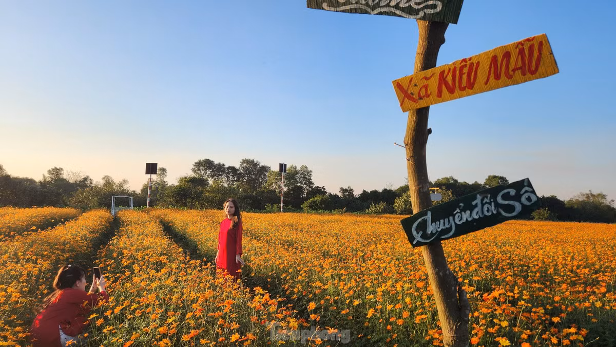 Người dân được miễn phí vào tham quan, chụp ảnh trong vườn hoa nhưng phải tuân thủ nội quy.