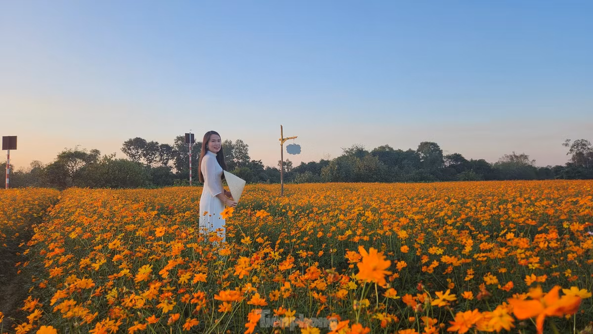 Bạn trẻ mặc áo dài tạo dáng chụp ảnh tại vườn hoa.