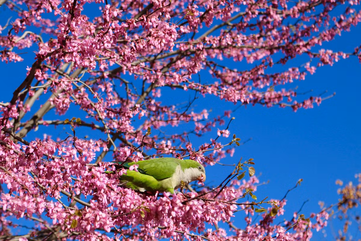 Dau nam 2023, 3 con giap tranh duoc xui xeo, su nghiep thang hoa