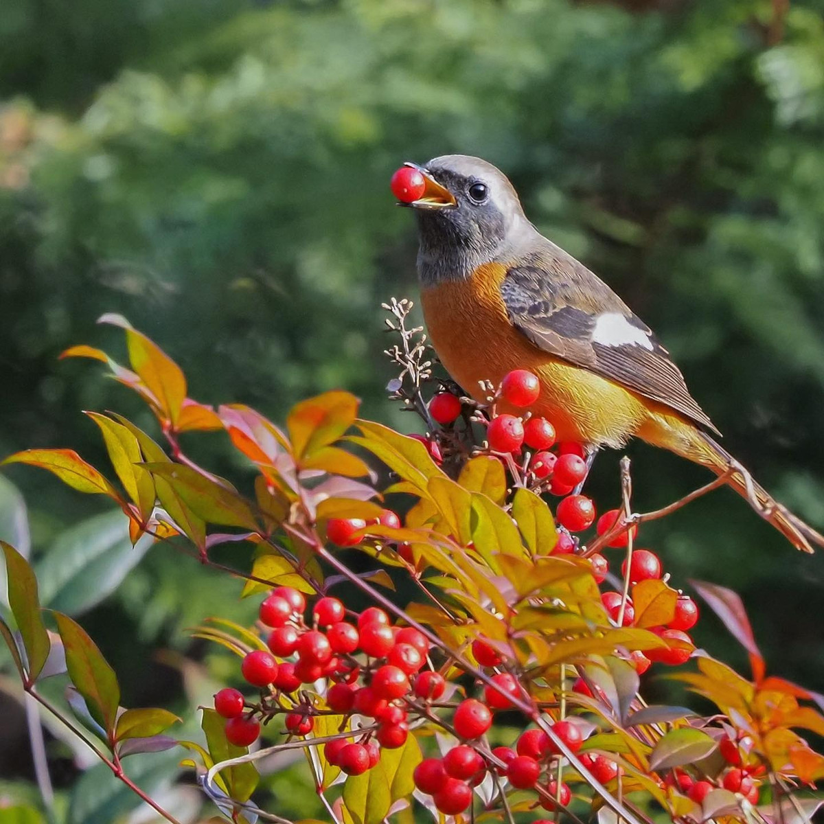 Đầu năm 2023, 3 con giáp tránh được xui xẻo, sự nghiệp thăng hoa - Hình 2 Dau nam 2023, 3 con giap tranh duoc xui xeo, su nghiep thang hoa-Hinh-2