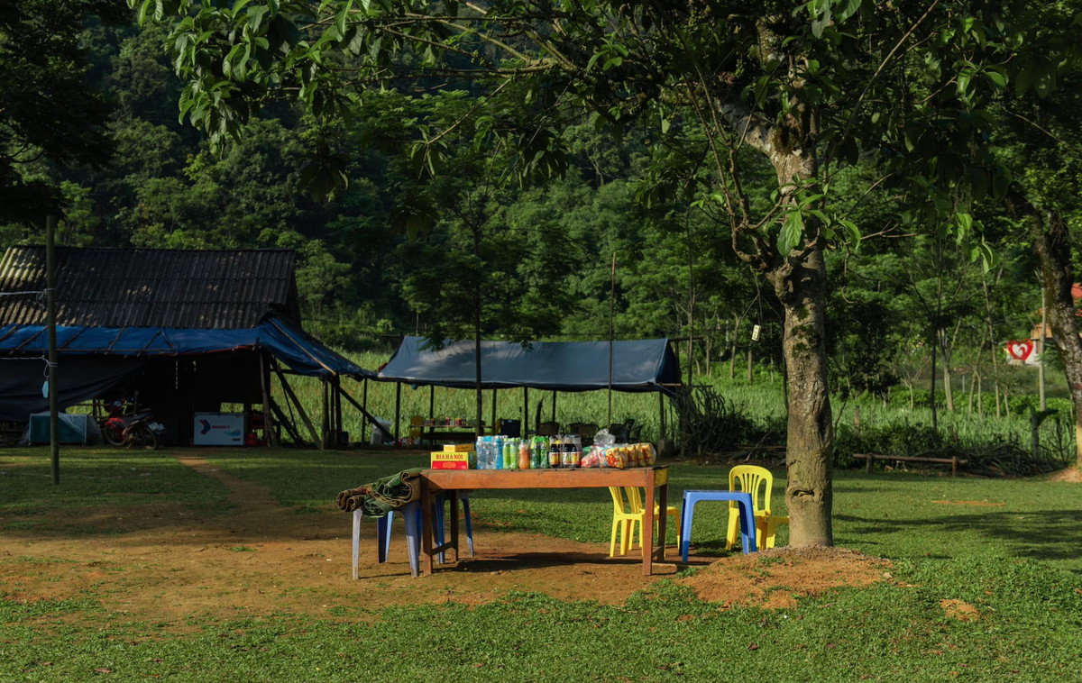 Vì Bãi Bùi là địa điểm du lịch mới nổi nên chưa có nhiều dịch vụ, còn khá hoang sơ. Nếu muốn lưu trú qua đêm, khách có thể thuê phòng nghỉ tại homestay gần đó hoặc thuê lều riêng, loại dành cho 4 - 5 người với giá dao động từ 300.000 - 500.000 đồng. Ở đây cũng có một vài quầy nước giải khát nhưng giá bán khá cao. Du khách nên chuẩn bị đồ ăn, nước uống, mang theo đầy đủ các dụng cụ cắm trại để chủ động và tiết kiệm hơn cho chuyến đi.