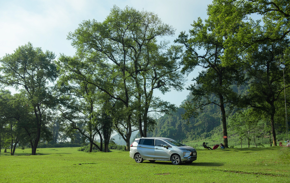 Điều khiến du khách ấn tượng khi ghé Bãi Bùi chính là sự xuất hiện của những cây tlau (hay còn gọi là cây châu) với tuổi đời hàng trăm năm. Ở đây hiện có khoảng 60 cây tlau, từng được HĐND xã Ngọc Lâu ra nghị quyết bảo tồn vào năm 2007. Đây là loại cây quen thuộc trong đời sống của đồng bào dân tộc Mường. Vào mùa hè, cây tlau tỏa bóng xanh mát, còn sang mùa đông, lá cây chuyển sắc vàng, đỏ, tạo khung cảnh lãng mạn chẳng kém mùa thu trời Âu.