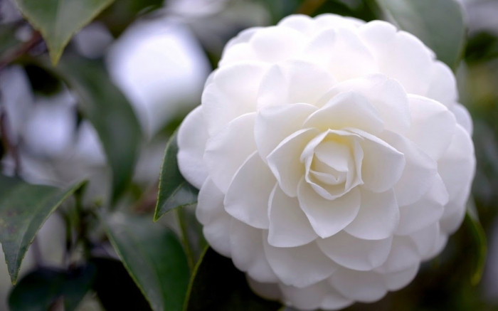  Sinh ngày 7 và 18 Âm lịch. Tử vi học có nói, người sinh vào ngày mùng 7 và 18 Âm lịch thường mang tính cách hiền lành, hòa đồng và thích kết bạn với mọi người.