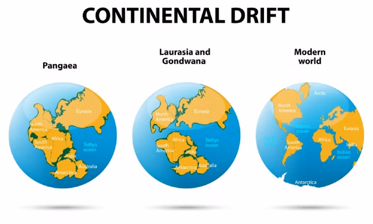 Tai sao tren day Himalaya lai co hoa thach cua loai ca?-Hinh-2