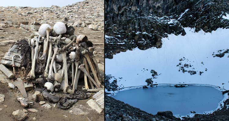 Tai sao tren day Himalaya lai co hoa thach cua loai ca?-Hinh-5