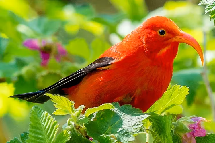 4 con giap khong lo that nghiep, cong viec tot, thu nhap cao-Hinh-3