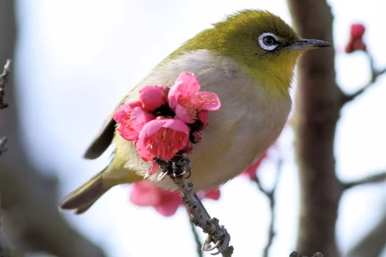 4 con giap khong lo that nghiep, cong viec tot, thu nhap cao-Hinh-4