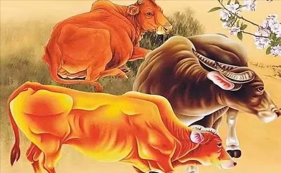 Vo chong cung con giap duoc khong?-Hinh-8