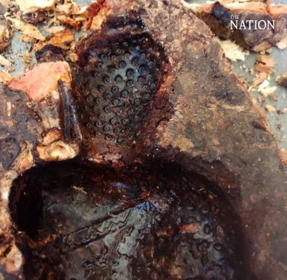 Tim thay tuong Phat ngoc hon 100 tuoi ben trong than cay-Hinh-5