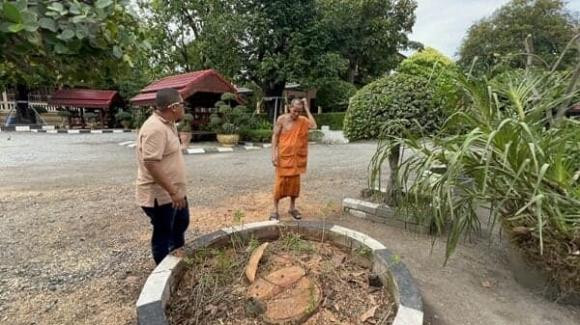 Tim thay tuong Phat ngoc hon 100 tuoi ben trong than cay-Hinh-4