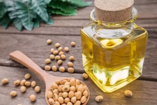 3 loai dau an vua tot cho suc khoe lai giup giam can-Hinh-3