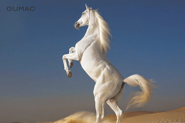 Con giáp này không chỉ có kỹ năng quản lý xuất sắc, còn có khả năng thực thi mạnh mẽ và kiên định, mạnh mẽ trong việc đưa ra quyết định.