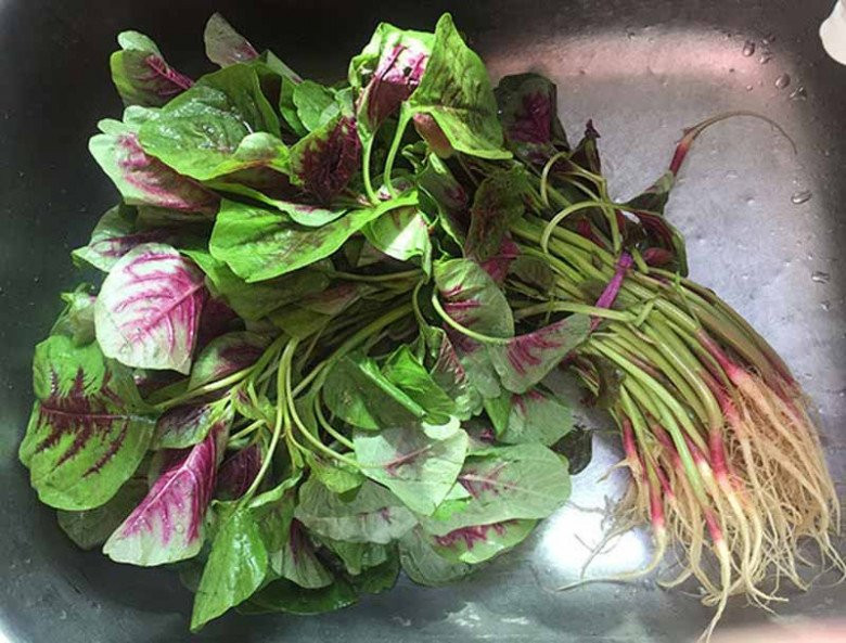 Kinh ngac loai rau axit folic gap 46 lan dua chuot