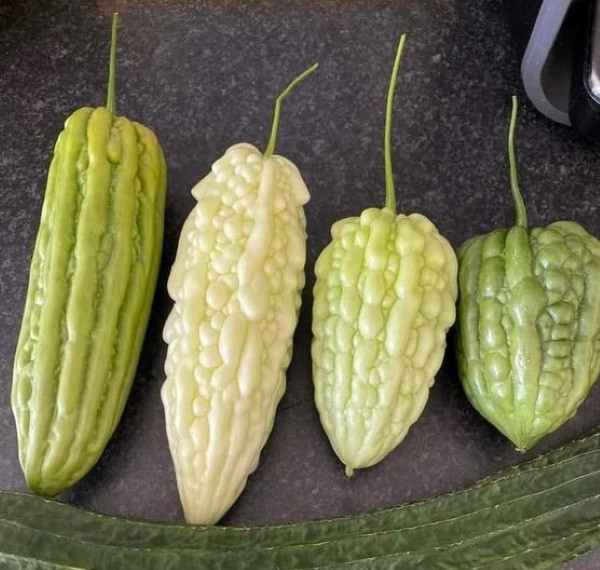 Bat ngo 6 loai rau cu benh tieu duong “so” nhat