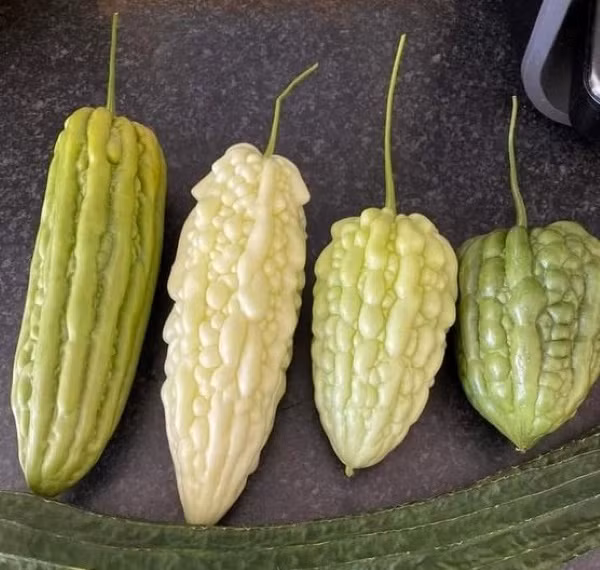 Bat ngo 6 loai rau cu benh tieu duong “so” nhat