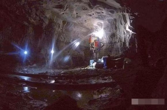 Sinh vat song duoi long dat 2.800 met, ton tai nho nang luong phong xa-Hinh-3