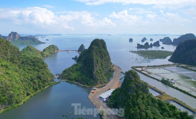 Lap vung dem vinh Ha Long lam biet thu, Cuc truong Cuc Di san van hoa noi gi?-Hinh-2