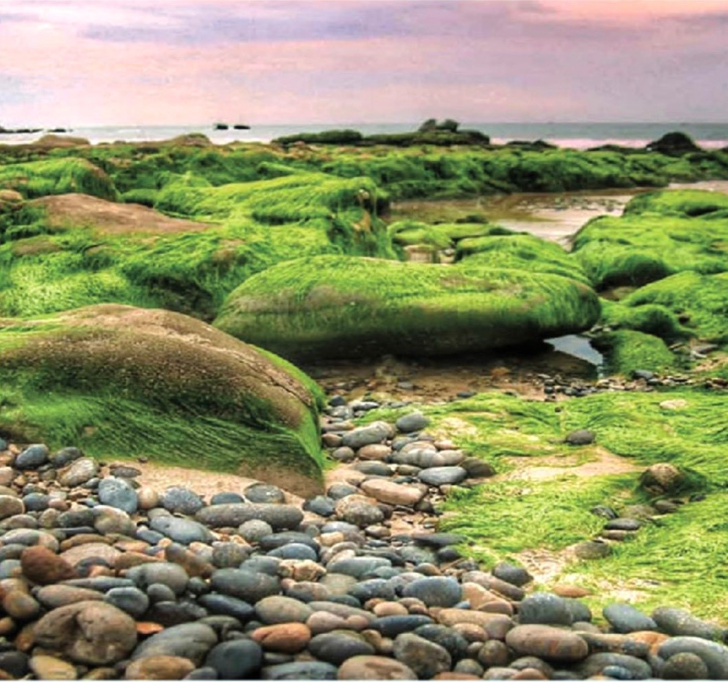 Bãi đá 7 màu nằm ngay dưới chân chùa Hang cũng là điểm đến tuyệt đẹp ở Bình Thuận. Nơi đây quy tụ hàng nghìn viên sỏi đá mang đủ màu sắc, đủ hình dạng, kích cỡ, lấp lánh dưới nắng mặt mặt trời, sóng sánh dưới mặt nước trong veo. Bãi đá 7 màu nằm ở biển Cổ Thạch thuộc xã Bình Thạnh (huyện Tuy Phong). Đây là vùng biển có bãi đá 7 màu “độc nhất vô nhị” ở Việt Nam.