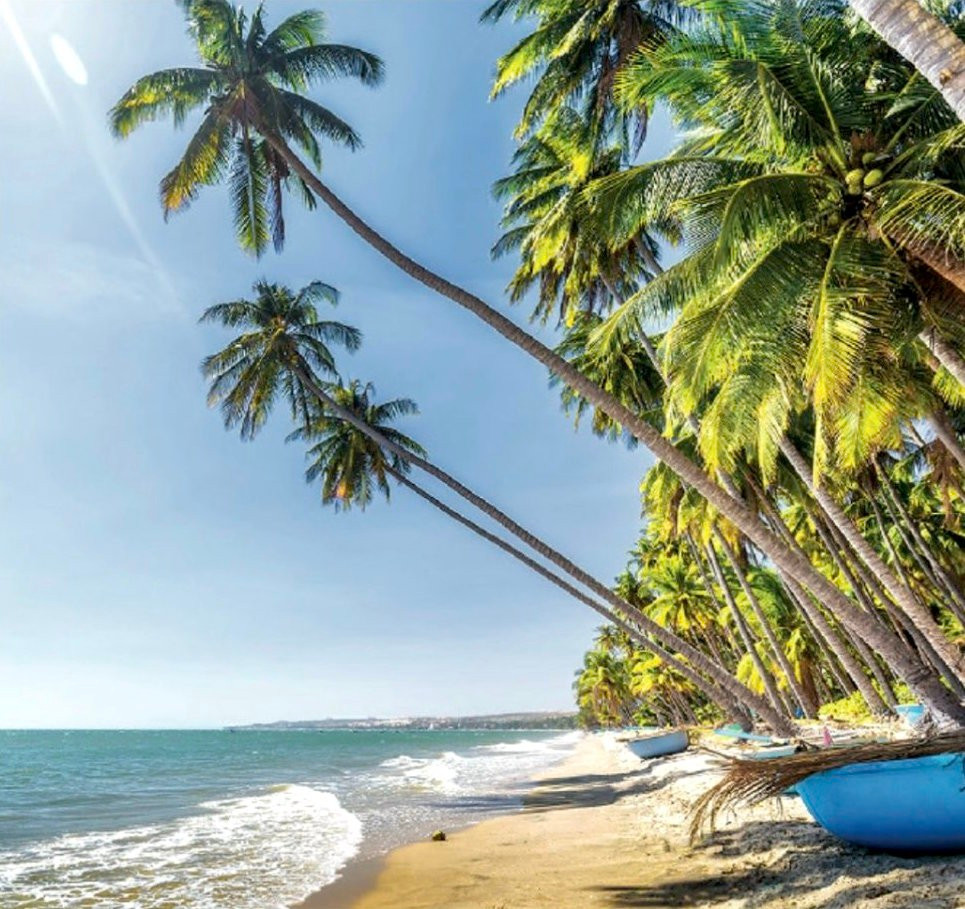 Khu vực Hàm Tiến (TP Phan Thiết) không chỉ có nhiều resort sang trọng mà biển cũng rất đẹp. Bãi biển Hàm Tiến thu hút du khách bởi làn nước trong xanh, những con sóng êm đềm và bờ cát trắng mịn.