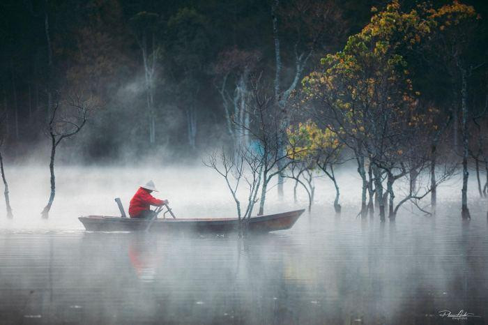 Vào 2 mùa này, cây chò dần rụng lá, mọc chồi và ra hoa. Lá cây cũng chuyển dần từ màu xanh sang vàng, cùng những chiếc lá đỏ xen lẫn những cụm hoa nhỏ màu vàng khiến khung cảnh thêm thơ mộng. Ảnh: @dophananh