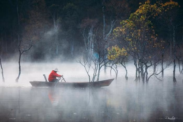 Vào 2 mùa này, cây chò dần rụng lá, mọc chồi và ra hoa. Lá cây cũng chuyển dần từ màu xanh sang vàng, cùng những chiếc lá đỏ xen lẫn những cụm hoa nhỏ màu vàng khiến khung cảnh thêm thơ mộng. Ảnh: @dophananh