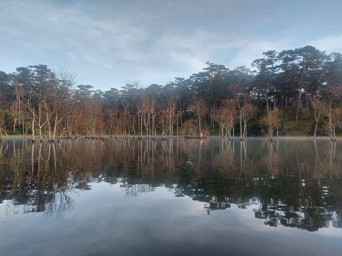Ở đây có những cây chò sống nhiều năm nên khung cảnh mang một vẻ khác biệt. Theo đó, rừng chò đẹp vào mùa thu và đông. Ảnh: @pipho19