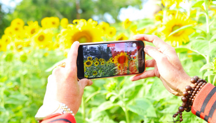 Ca the gioi hoa khoe sac o Da Lat, Lam Dong-Hinh-2