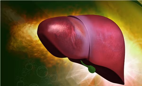 Nguoi gan yeu uong 4 loai nuoc nay de thanh nhiet, giai doc