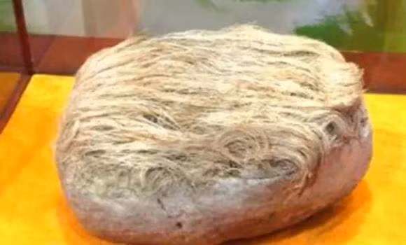 Lao nong nhat duoc vien da co 