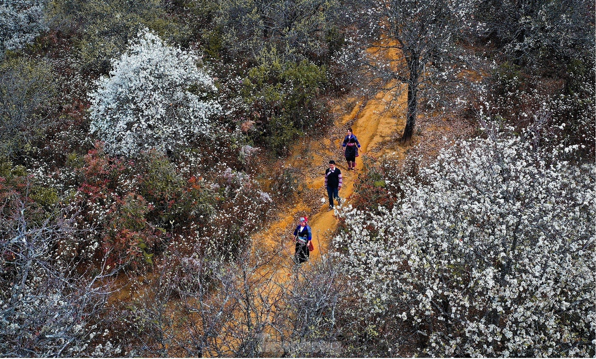 Những chàng trai, cô gái người Mông đi chơi hội trên những con đường nên thơ, trữ tình.