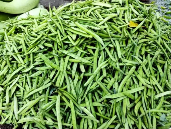 ốt cho tim: Đậu chùm giúp cho trái tim khỏe mạnh bằng cách giảm mức độ cholesterol xấu (LDL) trong cơ thể. Bởi vì loại rau này rất giàu chất xơ, kali và folate có khả năng chống lại nhiều vấn đề về tim.