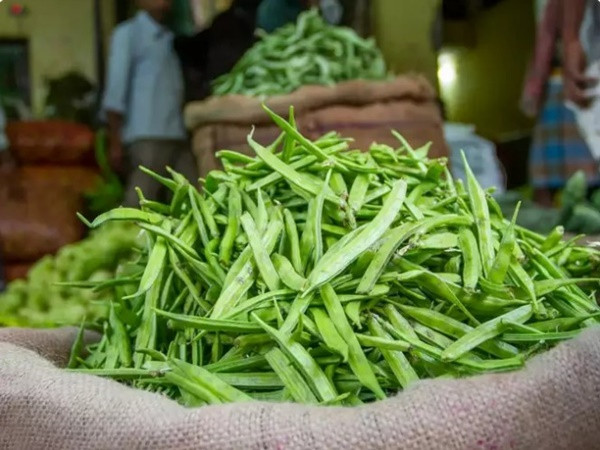 ##b###Rau đậu chùm là thực phẩm giàu protein, vitamin K, C, A, phốt pho, canxi, kali và chất xơ hòa tan. Những chất dinh dưỡng này giúp bảo vệ cơ thể khỏi bệnh tật.