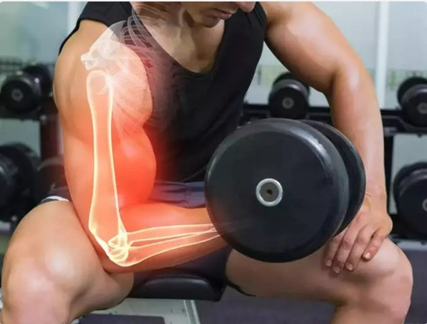 ải thiện sức mạnh của xương: Loại đậu này được cho là rất giàu canxi và phốt pho giúp xương chắc khỏe đồng thời bảo vệ chúng khỏi bị hư hại.