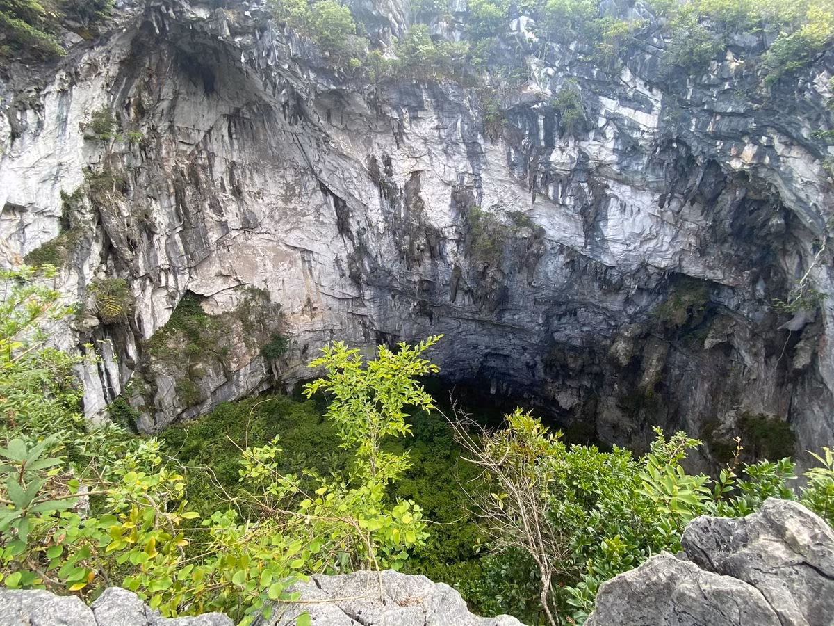 Đứng từ miệng hố nhìn xuống chỉ thấy bạt ngàn cây cối, không biết đâu là đáy. Để xuống được lòng của hố sụt, anh Hải và cả đoàn phải dùng dây an toàn, lần theo vách đá dựng đứng, chưa có lối mòn nào của con người. (Ảnh: Giáp Văn Hải).