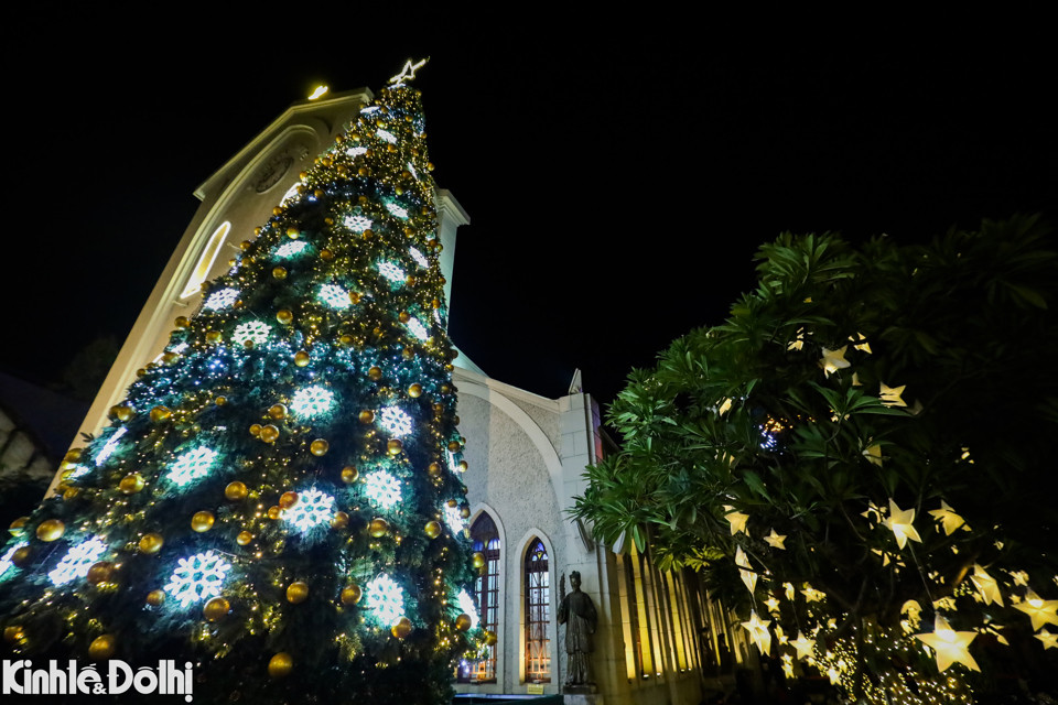 Cây thông noel cũng được dựng ngay trước cửa nhà thờ với đèn điện, dây kim tuyến...