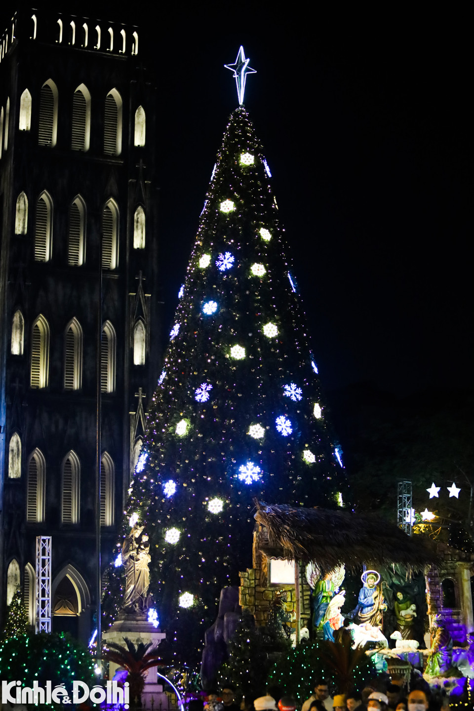 Chiều cao của cây thông là 16m, được trang trí bằng các vật phẩm quen thuộc như quả cầu, đèn điện, dây kim tuyến....