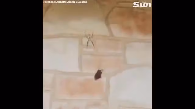 Video: Mo cua, nguoi phu nu nhin thay canh tuong noi da ga